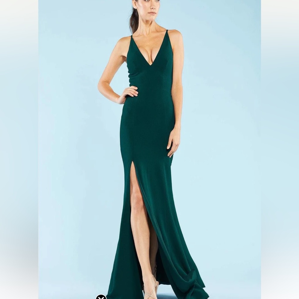 NWT DRESS THE POPULATION IRIS